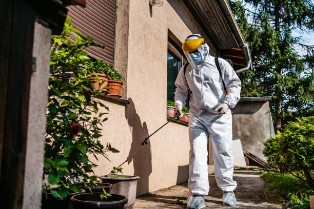Wasp Removal Services in Orchards, WA