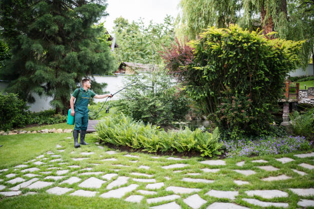 Best Bed Bug Extermination  in Orchards, WA