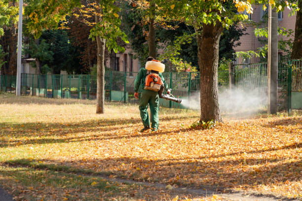 Insect Control in Orchards, WA