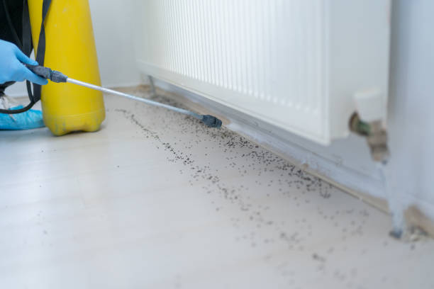 Best Ant Control Services  in Orchards, WA