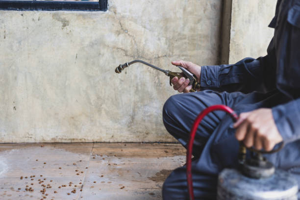 Best Residential Pest Control  in Orchards, WA